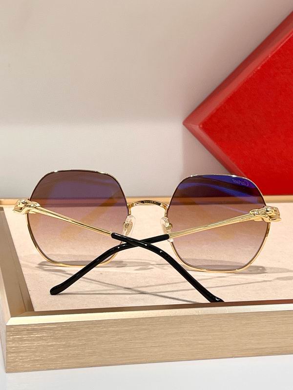 Cartier Glasses smx (413)